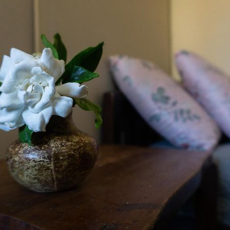 Apartament Mi Casa Es Tu Casa Melo Zewnętrze zdjęcie