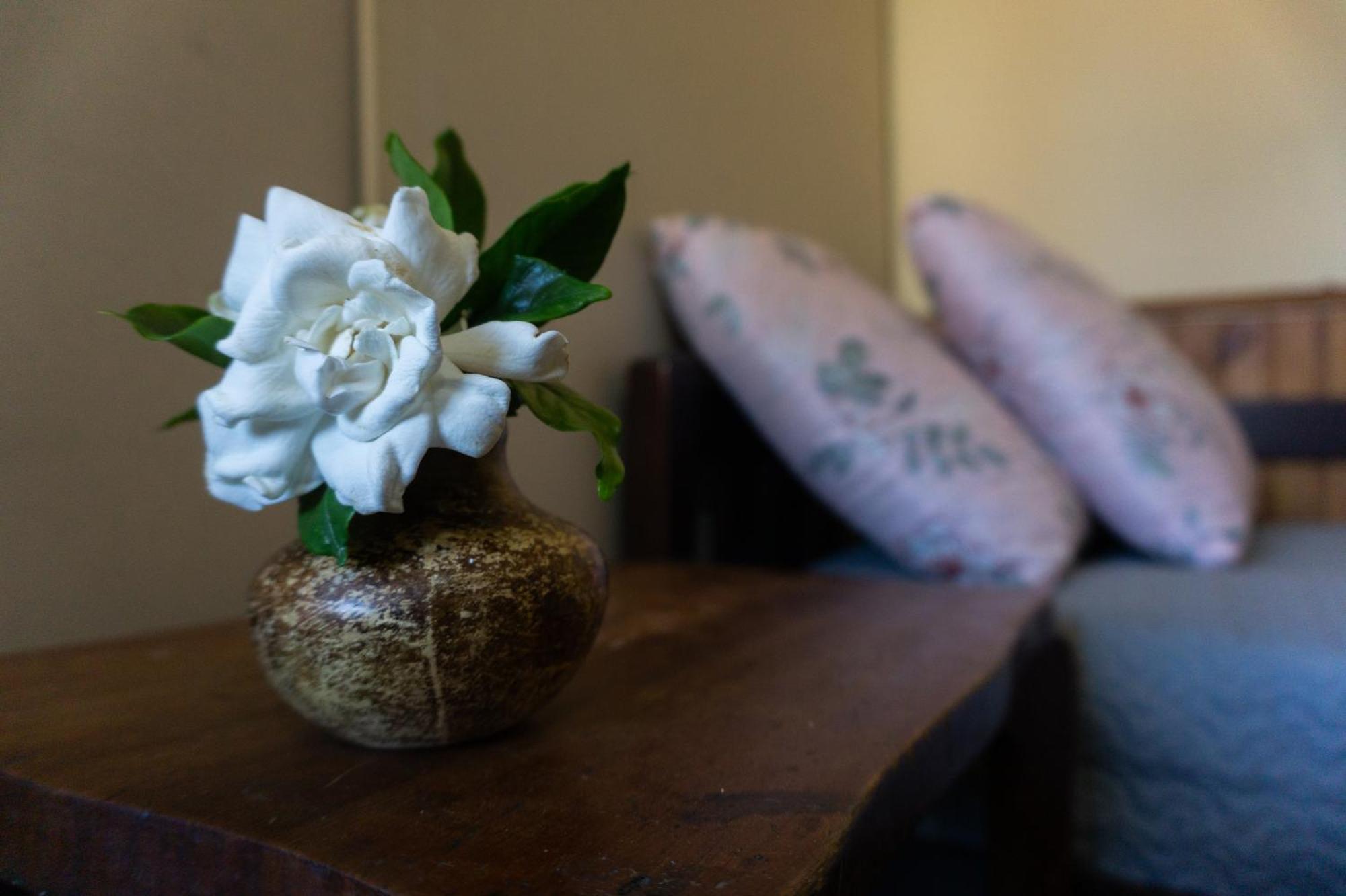 Apartament Mi Casa Es Tu Casa Melo Zewnętrze zdjęcie
